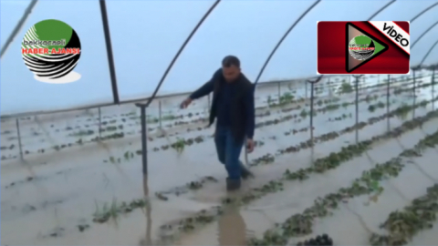 Aniden gelen sel seraları kullanılamaz hale getirdi