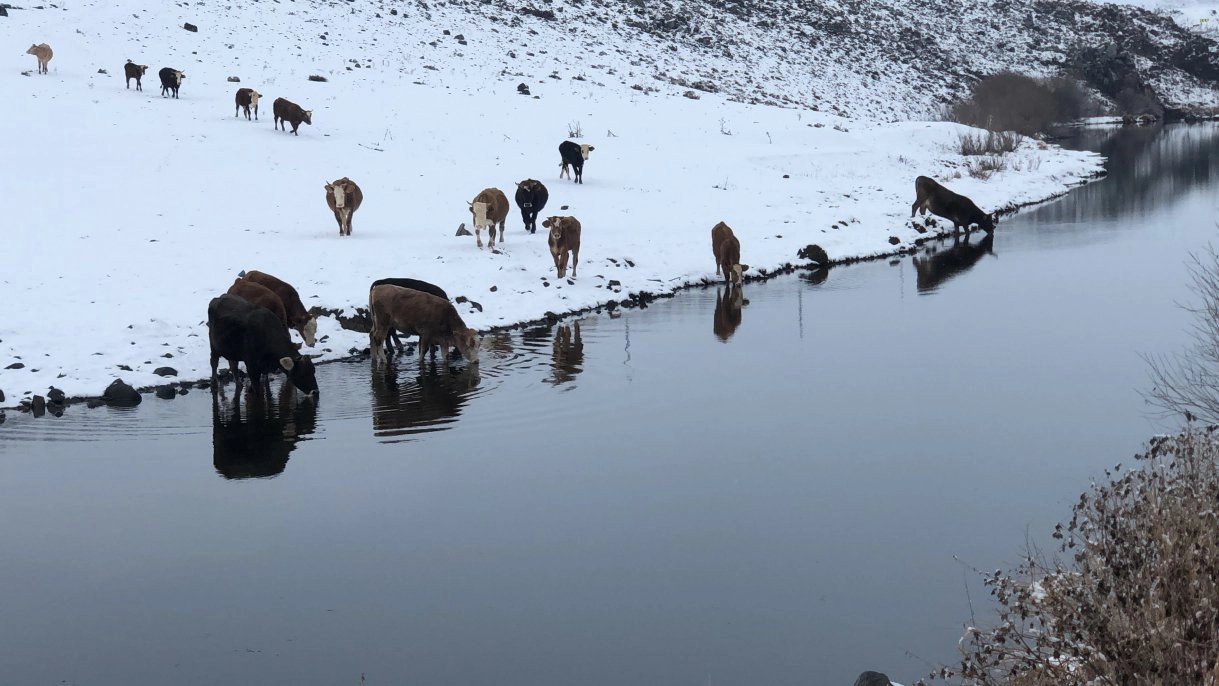 Kars’ta beyaz ile mavi büyülüyor   