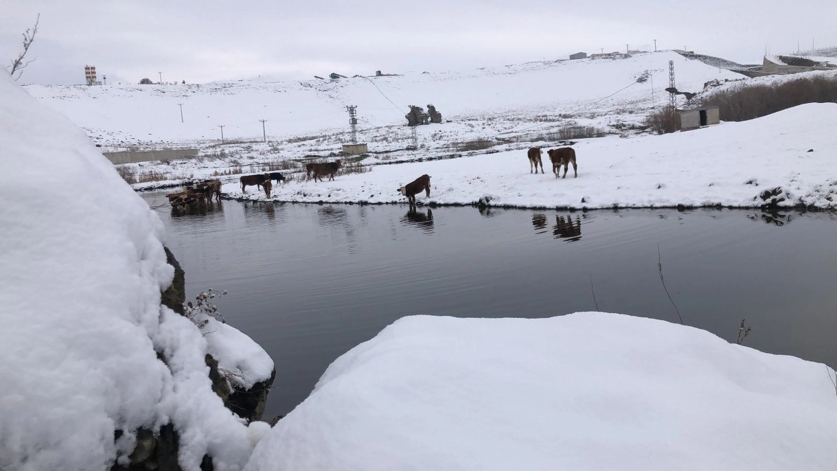 Kars’ta beyaz ile mavi büyülüyor   