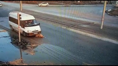 Yaralı köpeğe akıl almaz muamele !