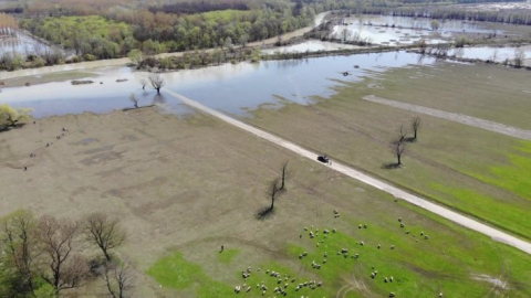 Efteni Gölü karların erimesi ve yağışlar sonrası taştı&nbsp; &nbsp;