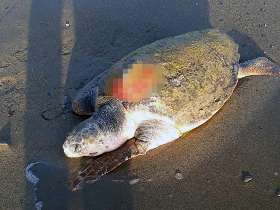  Uydu takip cihazı ile takip ediliyordu, ölü bulundu   