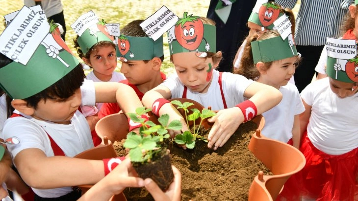  Kompostlar toplanıyor çilekler büyüyor   