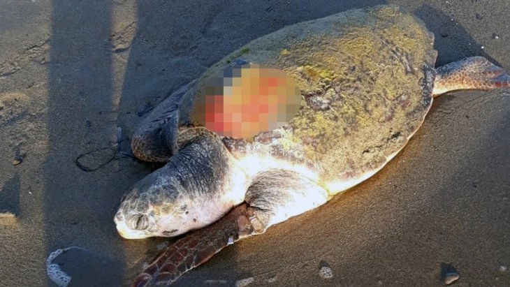  Uydu takip cihazı ile takip ediliyordu, ölü bulundu   