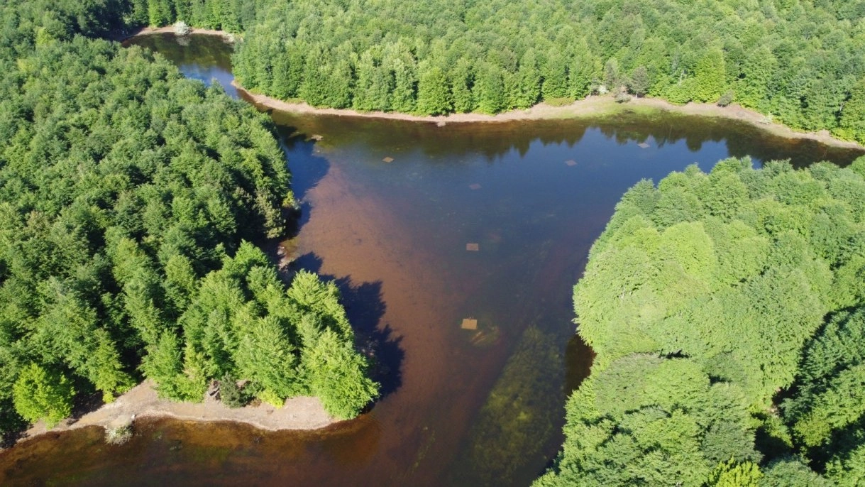   Karalık Yaylası'ndan kartpostallık görüntüler     