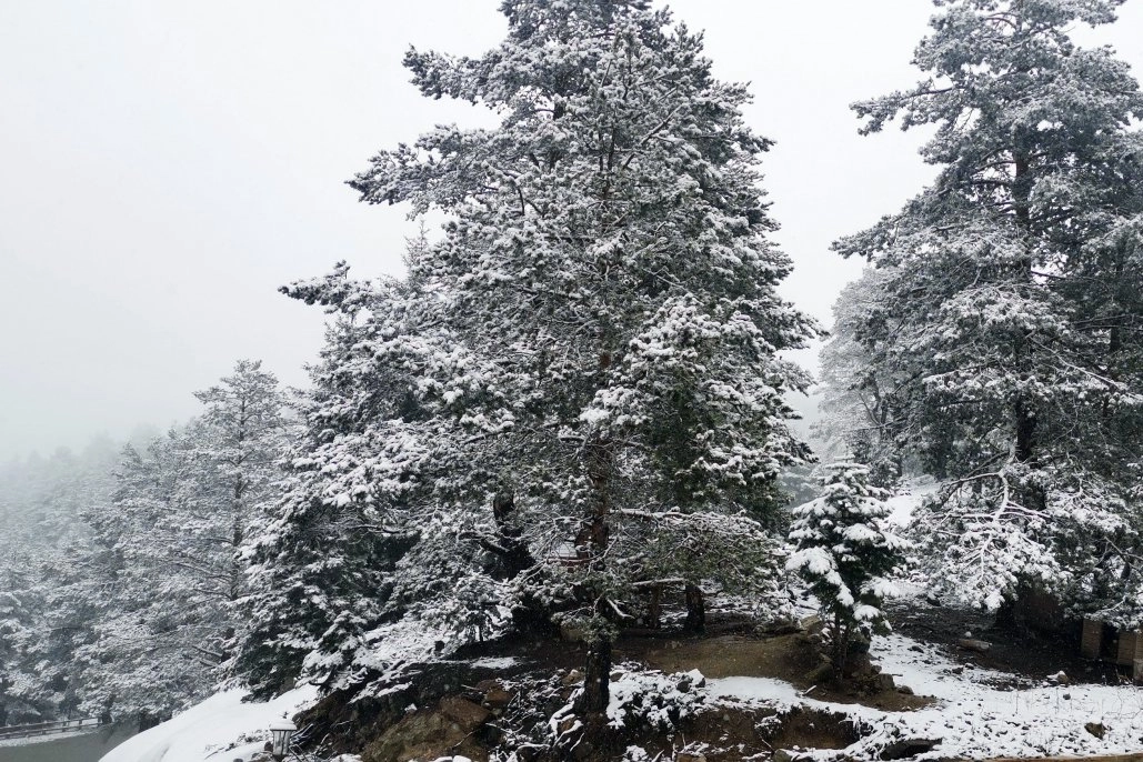    Gümüşhane dağları Mayıs ayında beyaza büründü   