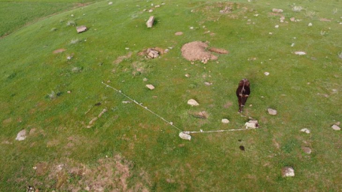   Yaylada mahsur kalan ineği, dron çekimi yapan iki arkadaş kurtardı   