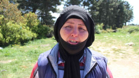 Köpeklerin yuvaları, hayvanseverlerin ümitleri yıkıldı