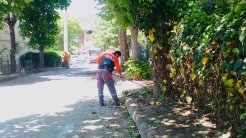 Körfez'de bahar temizliği