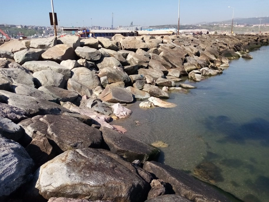   Lodos esti, deniz yerine geldi 