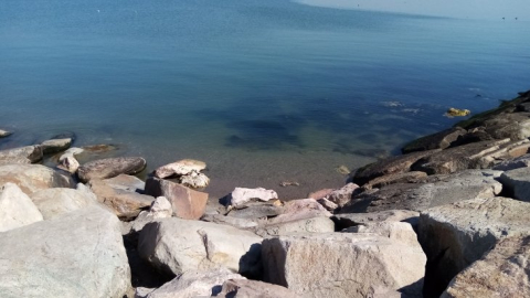   Lodos esti, deniz yerine geldi 