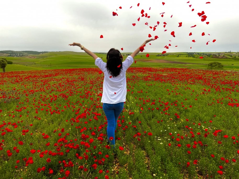 Tarlalardaki renk cümbüşü göz doldurdu