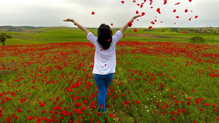 Tarlalardaki renk cümbüşü göz doldurdu
