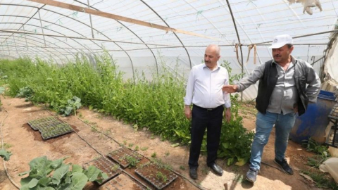 Gebze Belediyesi'nden çiftçilere 200 bin fide desteği