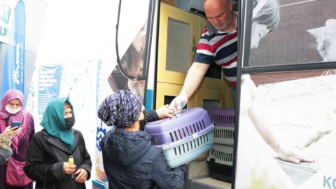 Büyükşehirden sokak hayvanlarına mobil kısırlaştırma
