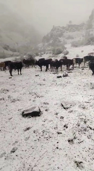   Sarıkamış yağan karla beyaza büründü   