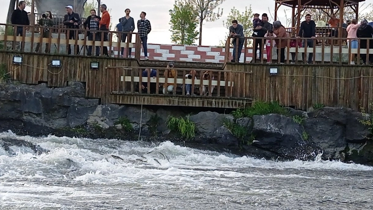  10. İnci Kefali Festivali’ne davet   
