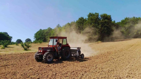 İzmit Belediyesi, silajlık yem tohumlarını toprakla buluşturdu