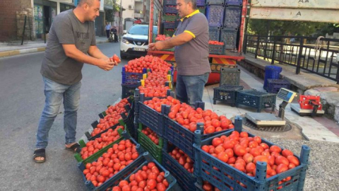 Salçalık domates fiyatları el yakıyor