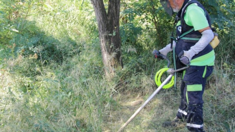 Körfez'de yabani ot biçme çalışmaları sürüyor