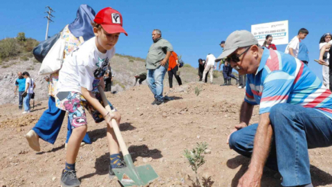 Körfez'in çınarları gelecek için fidan dikti