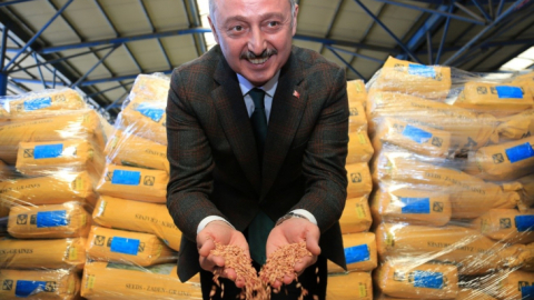 Tohum desteği başvurusu sonlandı, dağıtıma başlanıyor