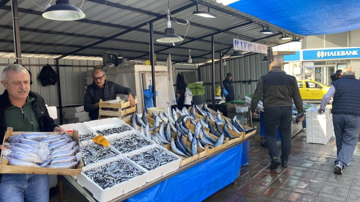 Hamsi tezgahlarda yerini aldı