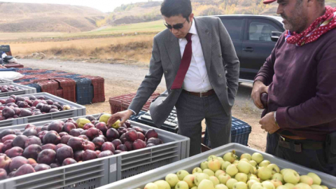 Ahlat elması yurt dışı pazarında