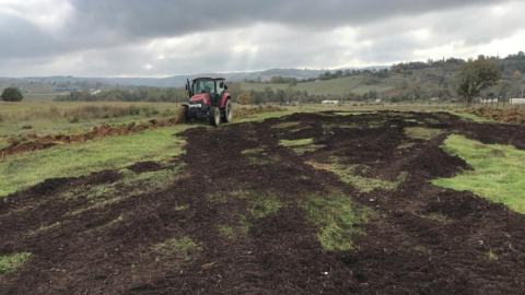 Atıl arazilere buğday ekildi