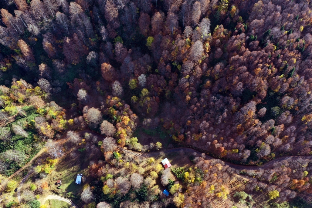 Göz kamaştıran görüntüler