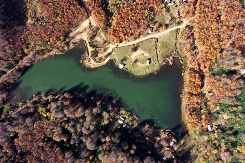 Göz kamaştıran görüntüler