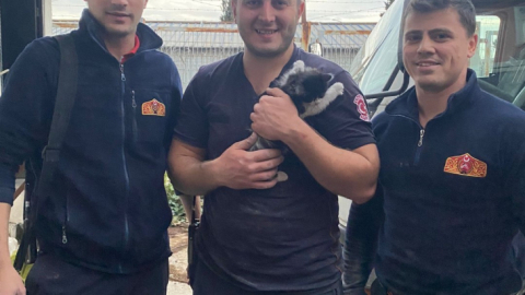 İş yerinin havalandırma boşluğuna sıkışan yavru kediyi itfaiye kurtardı