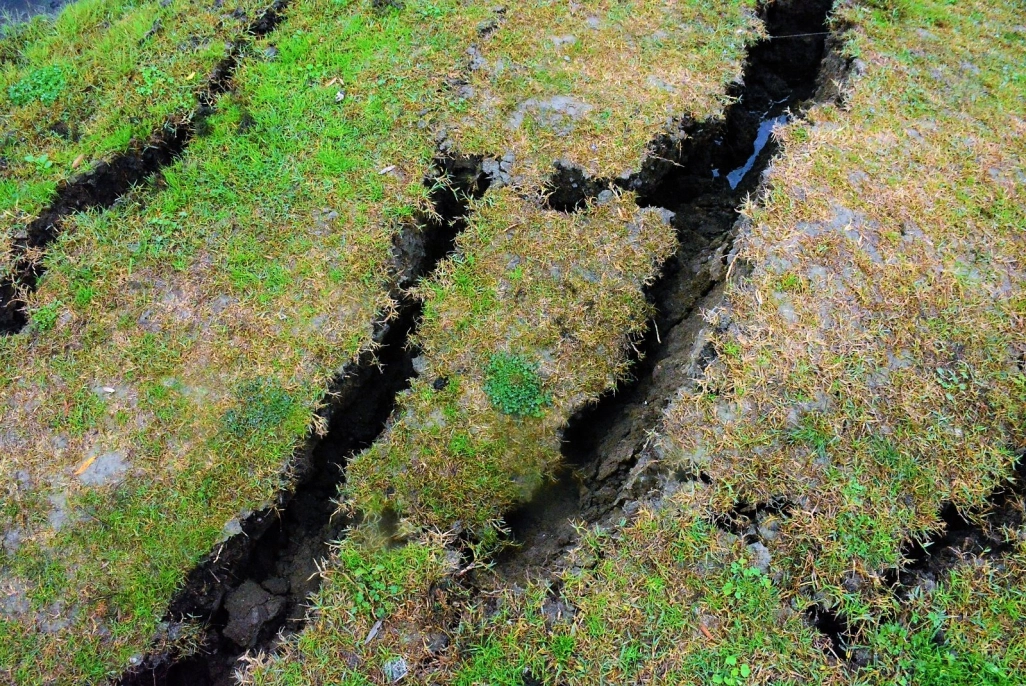 23 Kasım 2022 Düzce depremi