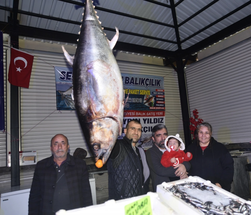 Dev orkinos ilgi odağı oldu