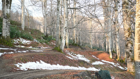 Kartepe'ye yeni proje 'Çamçeşme Mesire Alanı'