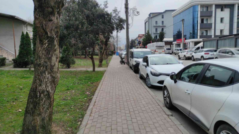 Bu kez köpek vatandaşa değil, vatandaş köpeğe saldırdı