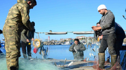 Karadeniz'in incisi çinekop, yeni yılın ilk ayında yüzleri güldürdü