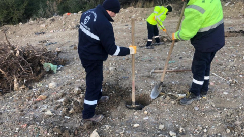 Kocaeli Büyükşehir bir yılda 124 bin 779 fidanı toprakla buluşturdu