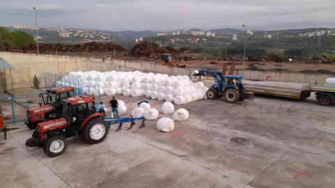 Küçükbaş hayvan üreticilerine ücretsiz silaj dağıtılacak