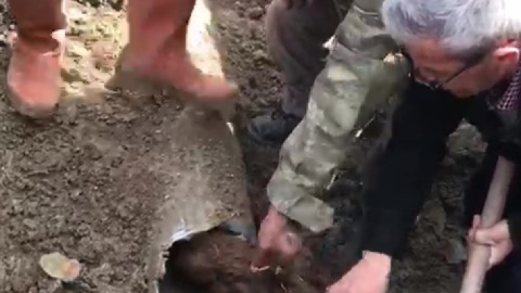 Tıkınan su borusundan öyle birşey çıktı ki , köylüler şaşırdı: Boa yılanı geliyor