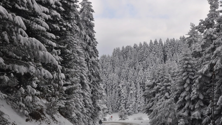Bolu'da kartpostallık kış manzarası