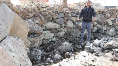 Şırnak'ta tırtıl istilası başladı, köylüler tedirgin