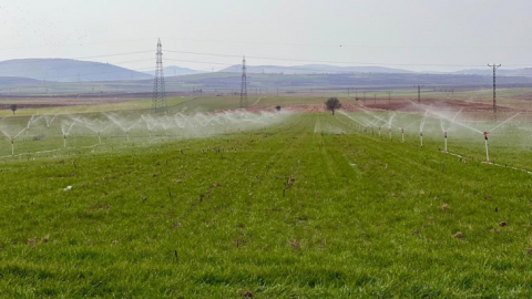Fazla sulama insan ve hayvan sağlığına zarar verebilir
