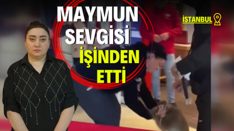 Maymun sevgisi işinden etti