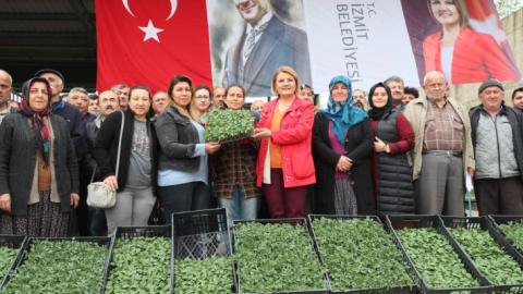 İzmit Belediyesi'nden çiftçiye yüzde yüz hibeli fide desteği