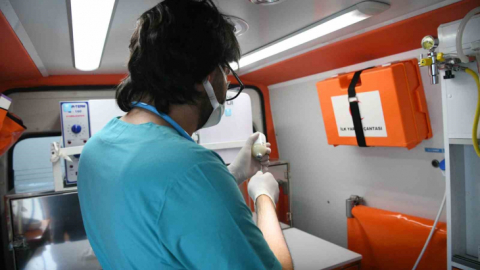 O ilçede artık sokak hayvanlarına yerinde müdahale edilecek