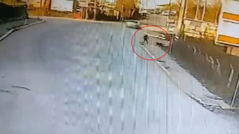 Kandıra'da okula giden çocuğa 2 köpek saldırdı