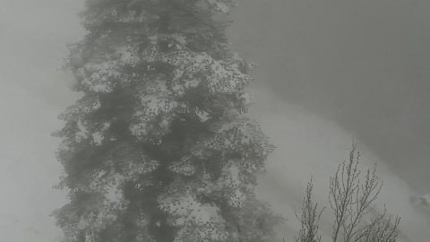 Kartepe’de kar yağışı başladı