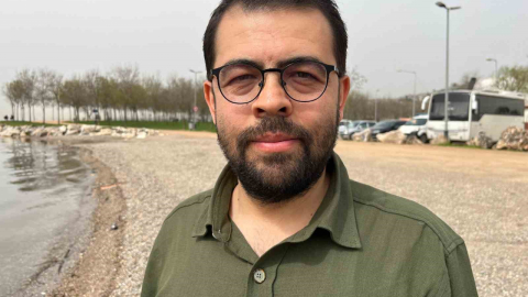 Ölü yunuslar kıyıya vuruyor, sebebi şok etti