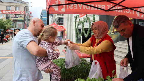 Tarımsal kalkınmaya fide desteği